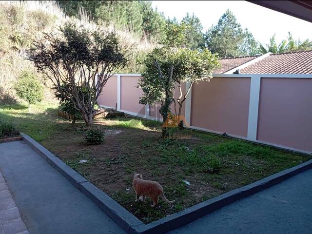 Prédio comercial para Venda em São Bento do Sul - 5