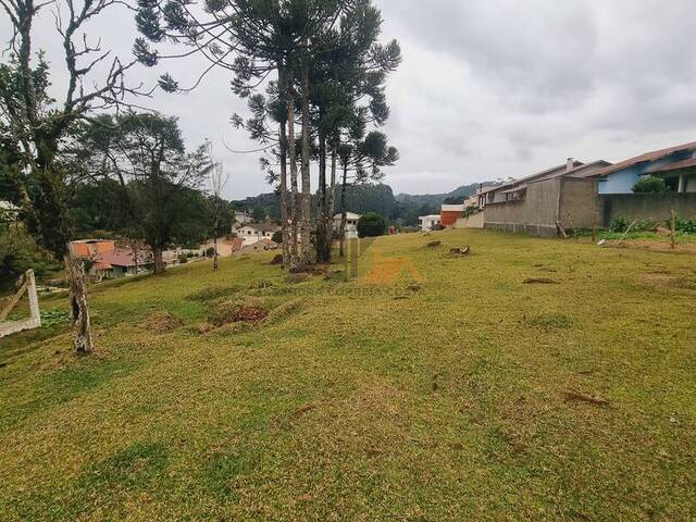 #63 - Área para Venda em São Bento do Sul - SC