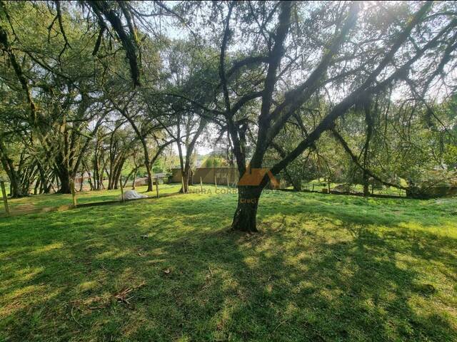para em - 4