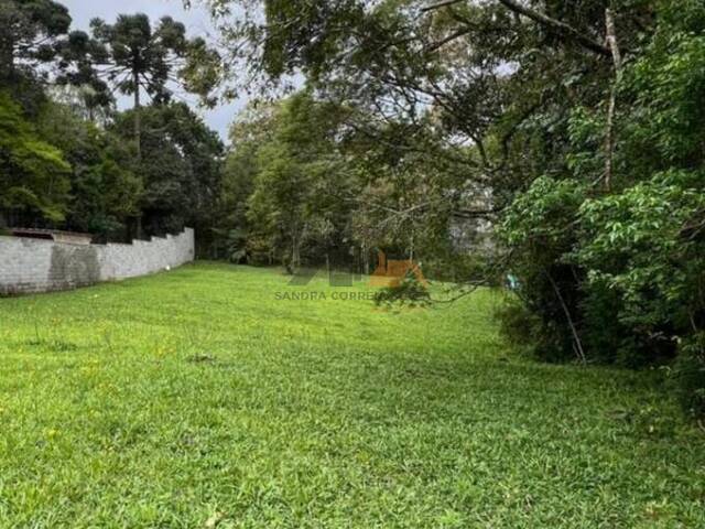 #77 - Área para Venda em São Bento do Sul - SC