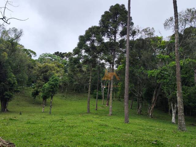 #95 - Chácara para Venda em São Bento do Sul - SC