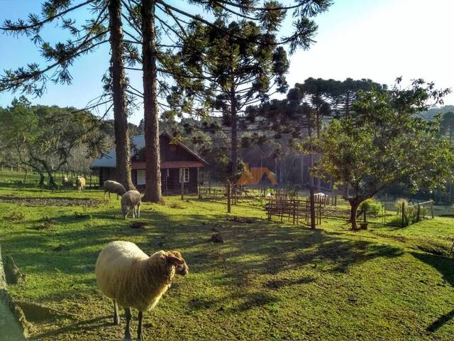 #104 - Chácara para Venda em São Bento do Sul - SC