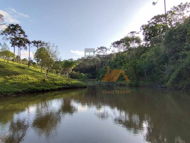 #108 - Chácara para Venda em São Bento do Sul - SC