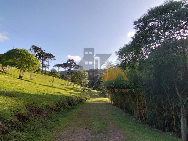 #108 - Chácara para Venda em São Bento do Sul - SC