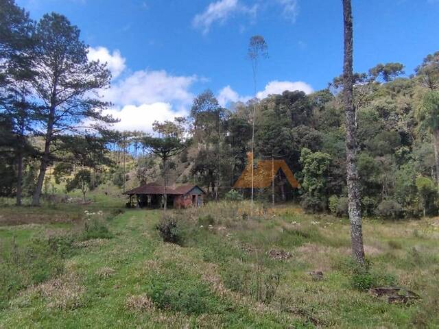 #113 - Chácara para Venda em São Bento do Sul - SC