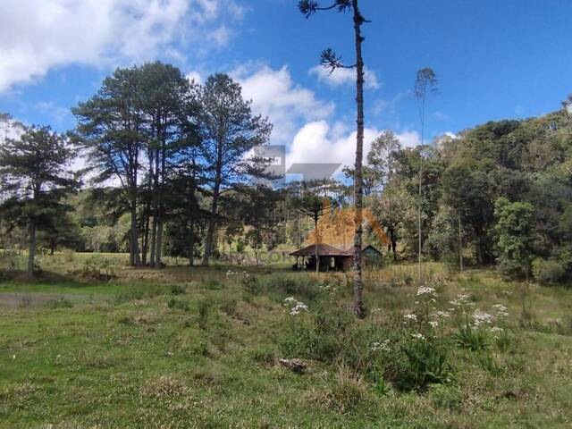 #113 - Chácara para Venda em São Bento do Sul - SC